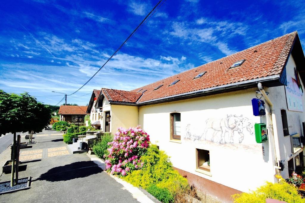 Appartement Am Hohenbusch Burg Reuland Eksteriør billede