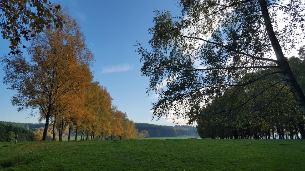 Appartement Am Hohenbusch Burg Reuland Eksteriør billede